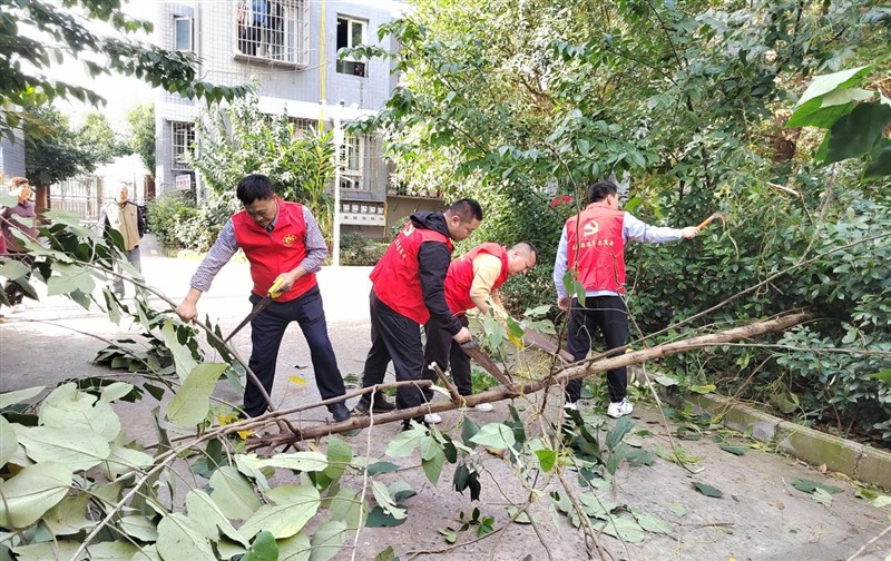 图片2_Jc 图片2_Jc