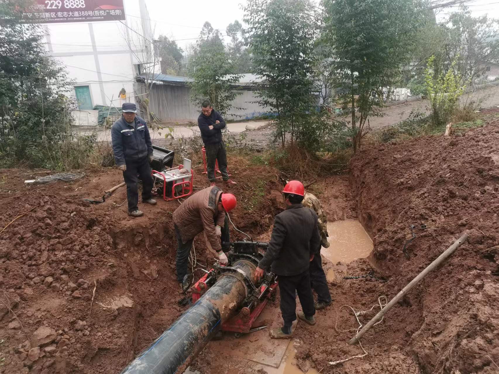 微信图片_20240130164533