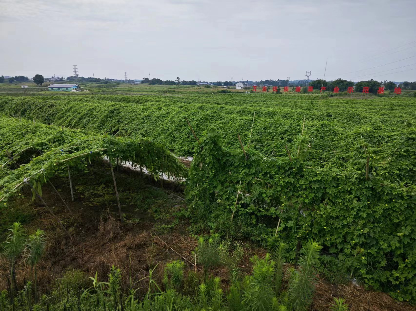 162b9e050f614abea3c2aa0bf3adc44