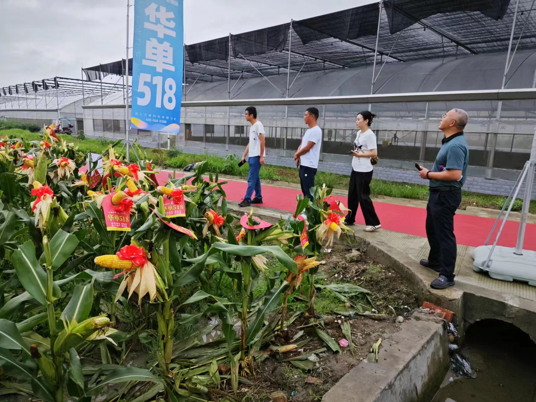 25efe732dd60dcb84528037f25d556a