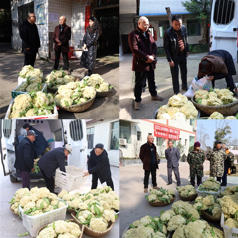 微信图片_20250214100705_Jc