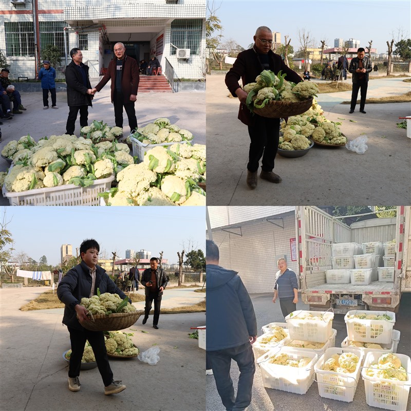 微信图片_20250214100653_Jc