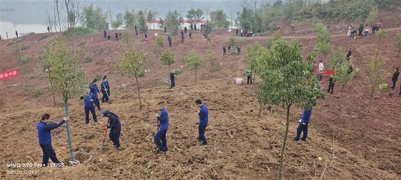 微信图片_20250317172642_Jc 微信图片_20250317172642_Jc