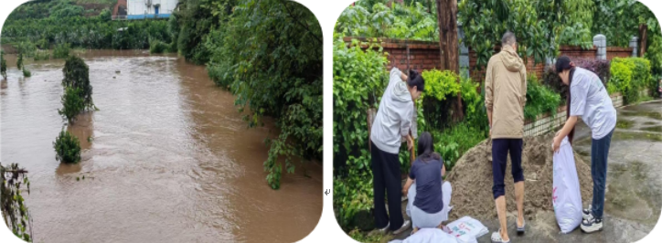 595f4c2b4e186ccf5052f47d2cf6c9a6