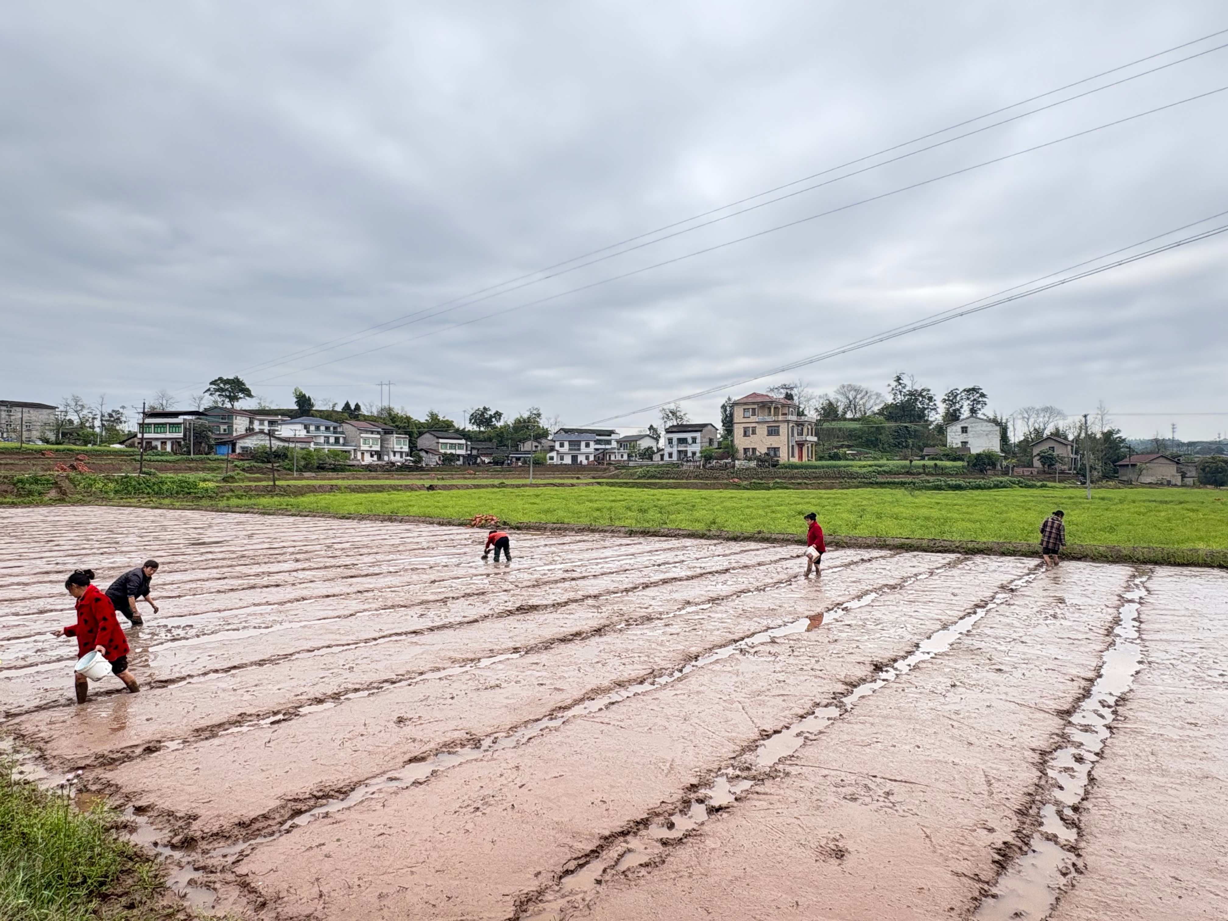 ae2ffd4a0f5b1d1910c73e13c2475409(1)